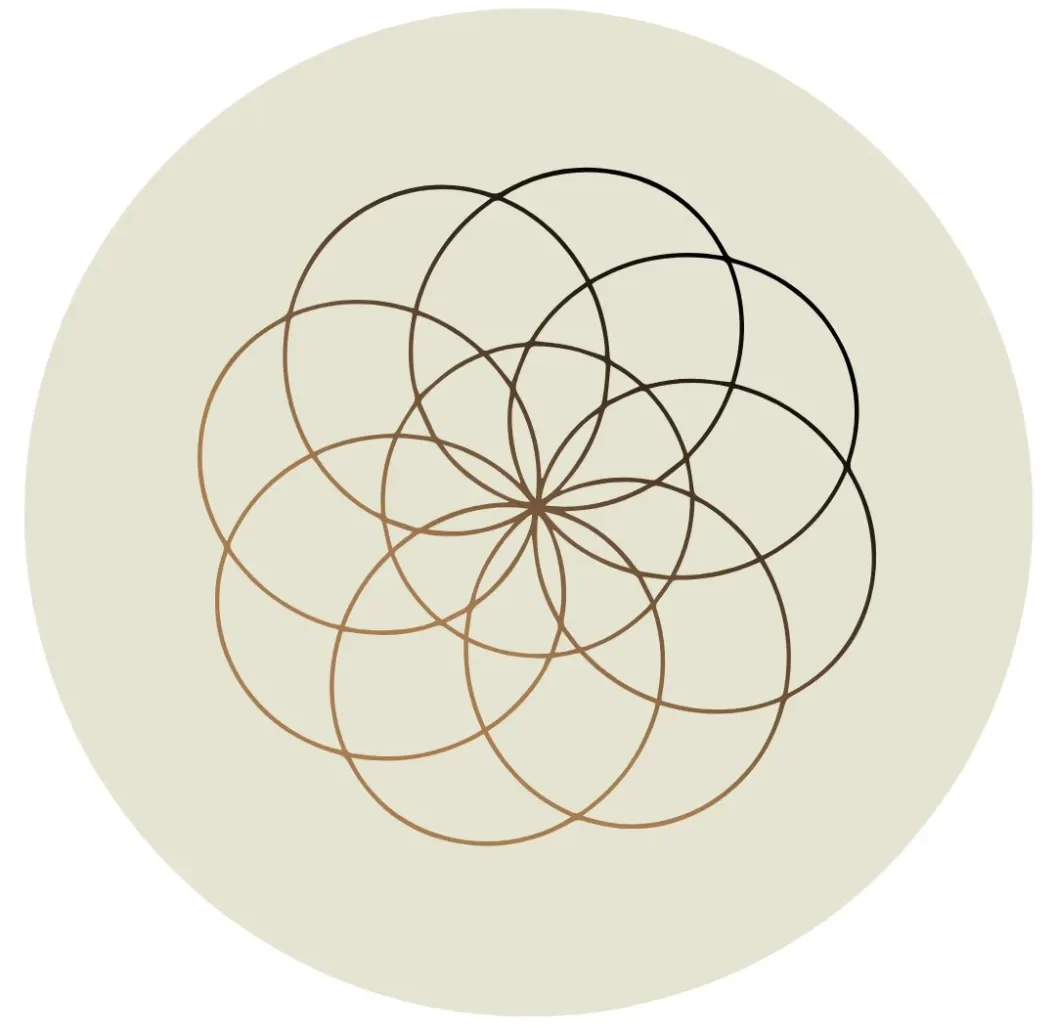 cropped El poder del universo 1 webp